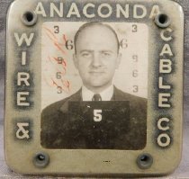 Badge, Identification