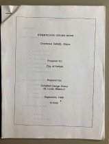 DeKalb, Streetscape Design