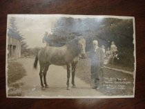 "Old Billy" Age 42 and Brother Charles Age 84