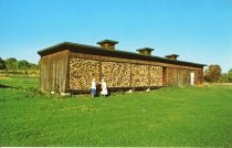Winter Supply of Wood Stored in Shed. Built in 1861