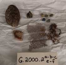 Souvenir artifacts from JV Fletcher Library collection