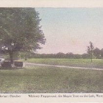 Whitney Playground Postcard