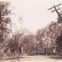 1938 Hurricane Main St