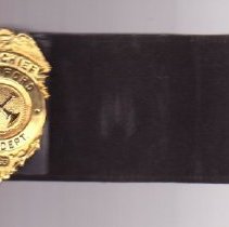 Asst. Chief Westford Fire Dept Pin