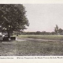 Postcard Whitney Playground