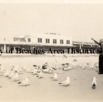 Man feeding seagulls