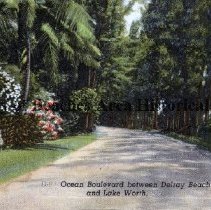 Ocean Blvd between delray Bch and Lake Worth