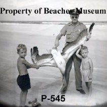 Pelican Attack, 1950s