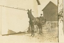 Howard (unknown last name) at Belle Grove