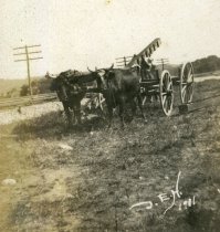 Unidentified Photograph