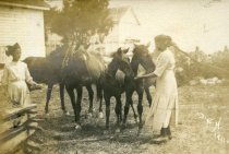 "Feed the Colts" Unidentified Photograph