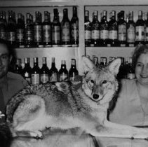 Tootsie with Fred Borsch in the Spot liquor store