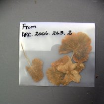 Burnham Family Bible