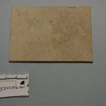 Art.2011.016.001 (2)