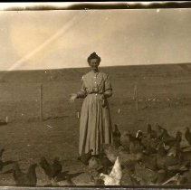 Woman Feeding Chickens