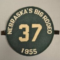 Badge, Identification
