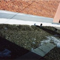 Roof top with moisture barrier