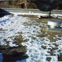 Roof top with satellite dish