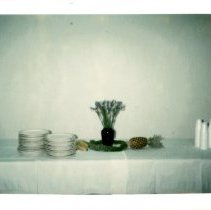 Hawaiian Days, March 30, 1982