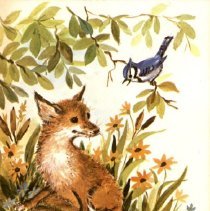 Thank you card from David Matthew