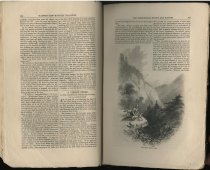 A Forest Story : The Adirondack Woods and Waters