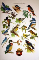 "Thanks to You, We Still Have a Home." [graphic]