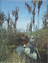 Grumman : 1945-1975 Our 30th Year