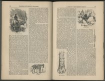 A Visit to "John Brown's Tract" / by T. B. Thorpe