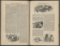 A Visit to "John Brown's Tract" / by T. B. Thorpe