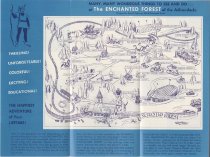 The Enchanted Forest of the Adirondacks : A World of Fantasy in a Beautiful