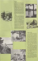 Tupper Lake Tree Farm : Sportsman's Map