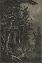 The Pines of the Racquette