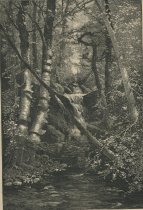 A Feeder of the Hudson-As It Was. / Forest Destruction in the Adirondacks