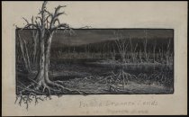 In the Drowned Lands of the Raquette River