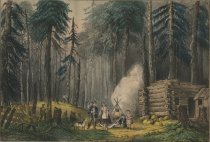 Among the Pines. A First Settlement.