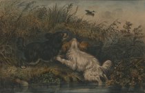 Flushing a Woodcock.