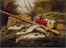 American Speckled Brook Trout.