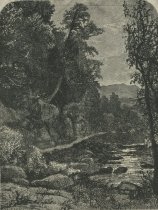 An Adirondack Stream