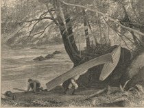 In the Adirondacks - A Carry On Raquette River