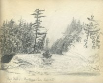 Bog Falls, Big Tupper Lake