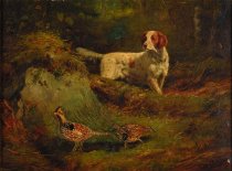 Dog And Two Ruffed Grouse