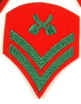 Patch, Insignia