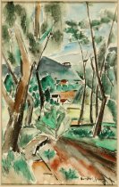 Adirondack Landscape