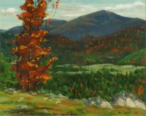 Adirondack Landscape