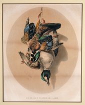 American Feathered Game -- Wood Duck and Golden Eye