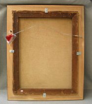 Woods Behind David Lithgow's Cottage In The Adirondacks