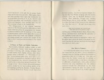 A Plea for the Adirondack and Catskill Parks: An argument for the resumptio