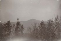 photo - mounted; sepia