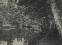 Uncle Alvah Dunning in his 84th year.;Sagamore Lake, N.Y.