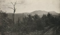 51. View on road to Blue Mountain Lake near the Summit, Adirondacks, N.Y.